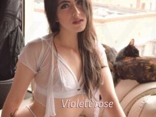 Violett_rose