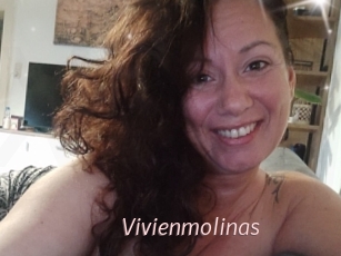 Vivienmolinas