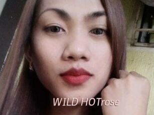 WILD_HOTrose