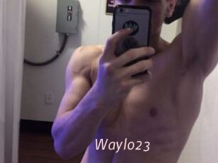 Waylo23