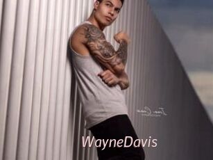 WayneDavis