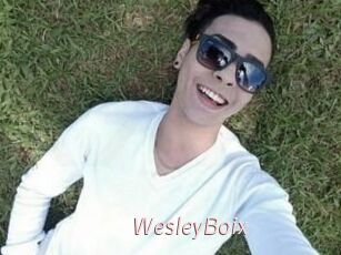 Wesley_Boix