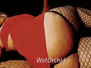 WetOrchid