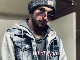 WildElijah
