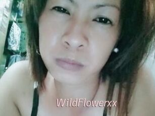 WildFlowerxx