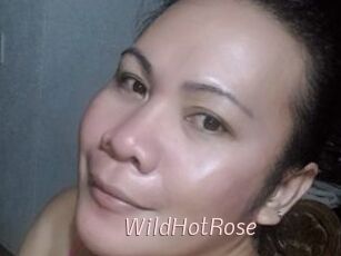 WildHotRose