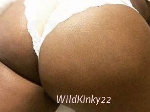 WildKinky22