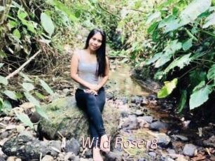 Wild_Rose18