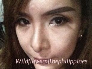 Wildflowerofthephilippines