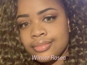 Winter_Rosea