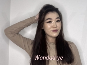 Wandadrye