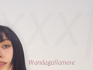 Wandagallamore