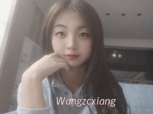 Wangzcxiang