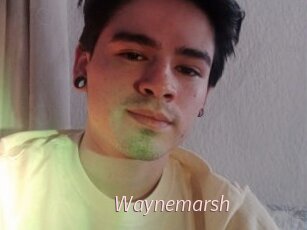 Waynemarsh