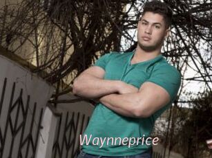 Waynneprice
