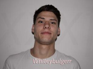 Whitey_bulgerr
