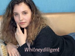 Whitneydiligent