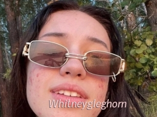 Whitneygleghorn