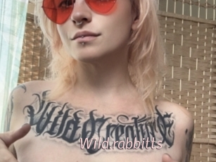 Wild.rabbitts