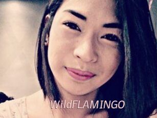 WildFLAMINGO