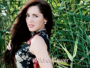 Wildredflower