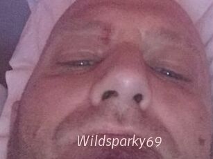 wildsparky69 xxx Free Sites