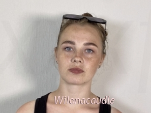 Wilonacaudle