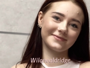 Wilonealdridge