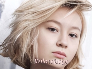 Wilonefudge
