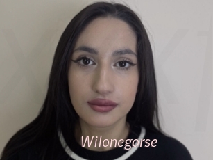 Wilonegorse