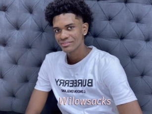 Wilowsacks