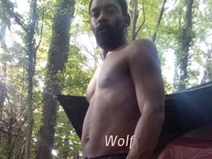 Wolf