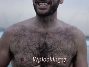 Wplooking37