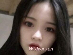 Wtdyanxun
