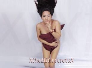XtheBIGsecretsX