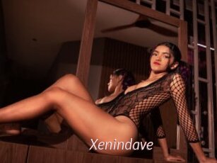 Xenindave
