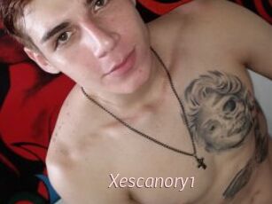 Xescanory1