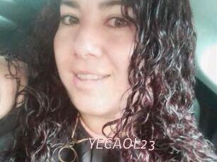 YECAOL23