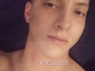 YNGVIPER