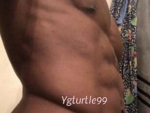 Ygturtle99