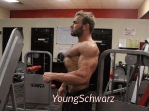 YoungSchwarz
