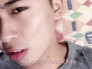 YoungWildCock4u