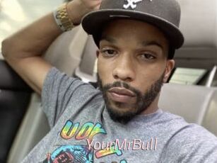 YourMrBull