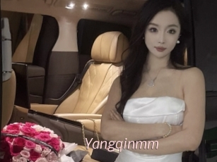 Yangqinmm