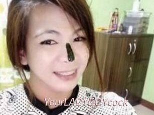 YourLADYBOYcock
