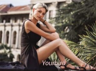 Yourbird