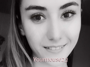 Yourmouse23