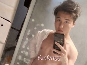 Yunfengg