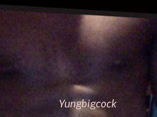 Yungbigcock