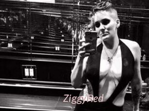 ZiggyRed